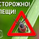 Уважаемые жители Частоозерского района! Уважаемые жители Частоозерского района!