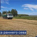 Уборка раннего сева Уборка раннего сева