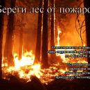 БЕРЕГИ ЛЕС ОТ ПОЖАРОВ! БЕРЕГИ ЛЕС ОТ ПОЖАРОВ!